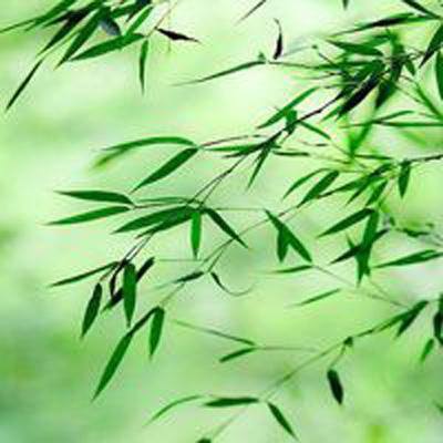 傲笑江湖4399小游戏下载